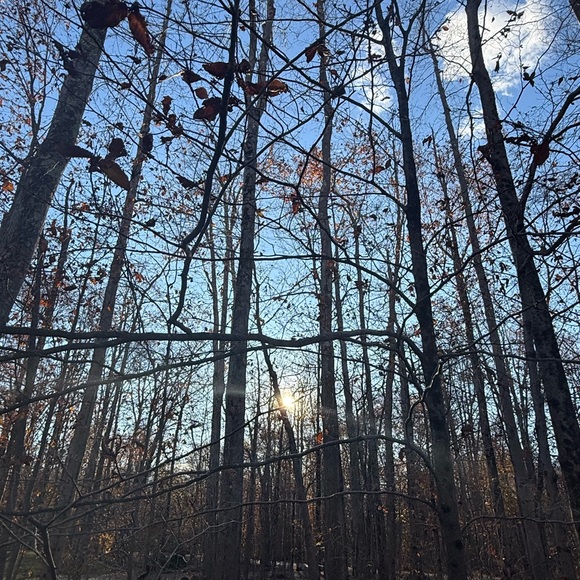 Meet your Posher, Sofya - Picture 1 of 1